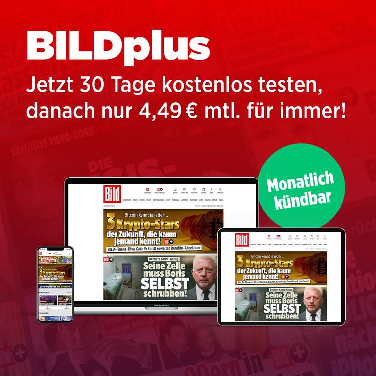 Erleben Sie mit BILDplus die digitale Welt von BILD!